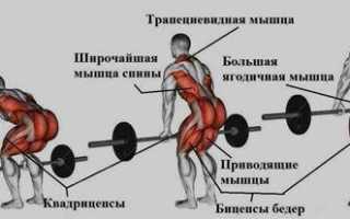 Связь мозг-мышцы