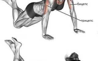 Как правильно отжиматься от пола девушкам