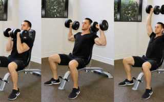 Жим Арнольда: эффективное упражнение для мощных плеч