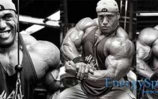 Деннис Джеймс