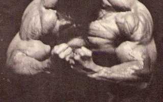 Серж Нюбре — крутое пике «Черного Ягуара»