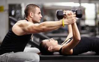 Как составляется программа тренировок – определяем хорошего тренера