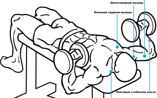 Тренировки для похудения
