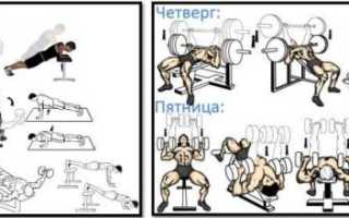 Тренажеры для грудных мышц