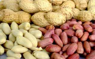 Орехи в бодибилдинге