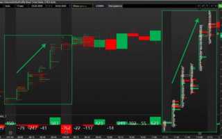 Тренировка средних дельт: особенности и методика