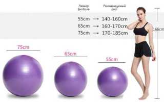 Комплекс упражнений на фитболе для спины — техника и важные нюансы