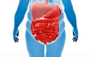 Как правильно похудеть, не угробив здоровье: подробная инструкция о том, как питаться и тренироваться