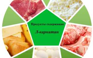 Как принимать Л-карнитин для похудения в дни тренировок и отдыха: инструкция по применению в капсулах, порошке и жидкой форме