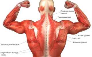 Как накачать широкую спину