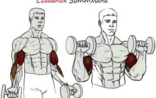 Сгибания Зоттмана