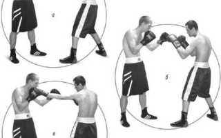 Плиометрические упражнения – необходимая основа бодибилдинга для боксеров