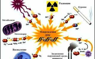 Содержание антиоксидантов выше в попкорне, чем во фруктах и овощах