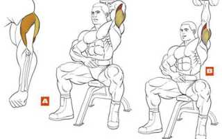 Лучшие упражнения с гантелями для развития трицепсов