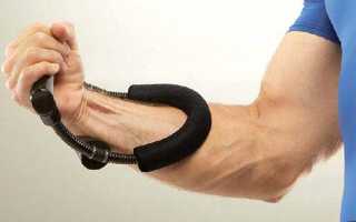 Мышцы предплечья: анатомия, как накачать в домашних условиях и зале