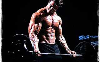 Упражнения для роста мышц, программа тренировок на объем мышц