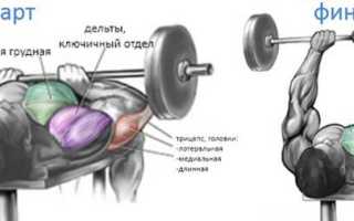 Лучшие изолированные упражнения на трицепс
