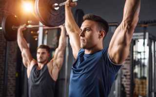 Упражнения на дельтовидные мышцы: варианты и нюансы техники при прокачке плеч