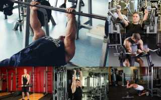 Тренировка бицепса: обзор лучших программ