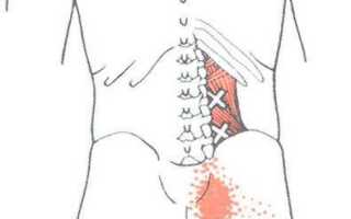 Упражнения на квадрицепс бедра