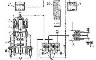 Выполнение скручиваний в тренажере – техника и особенности