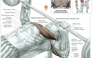 Почему рабочий вес в жиме гантелей лежа меньше, чем при жиме штанги?