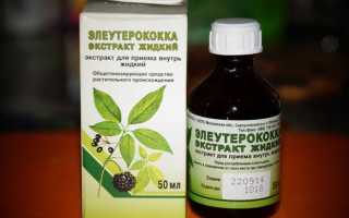 Элеутерококк и его применение в бодибилдинге