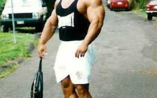 Мускулистый профессор Нассер Эль Сонбати — культурист с большой буквы