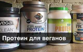 Протеин для веганов: натуральные вегетарианские источники белка