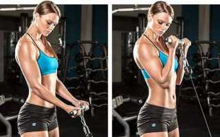 Обзор лучших изолированных упражнений на бицепс