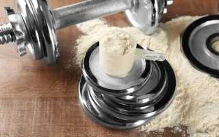 Gainer от Power Pro