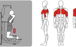 Гравитрон – тренажер для выполнения подтягиваний с противовесом