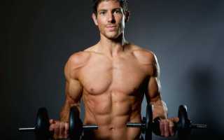 Упражнения для рук с гантелями: топ 7 техник