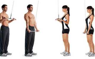 Разгибание рук на верхнем блоке