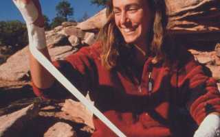 Стефани Дэвис: параметры тела, увлечения, карьера