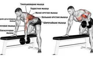 Как правильно прокачать мышцы спины