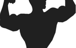 Почему не растет бицепс? Создаем руки титана.