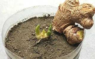 Изотоник – напиток из спортивного питания