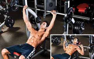 Виды жимов лежа на наклонной скамье – качаем верх и низ грудных