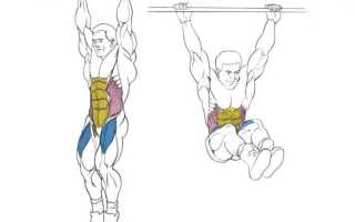 Как накачать мышцы живота в зале и домашних условиях: 6 самых эффективных упражнений на пресс