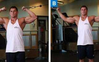 Сгибание одной руки с рукояткой нижнего блока: как выполнять правильно?