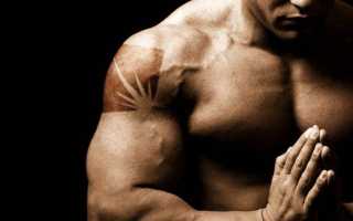 Упражнения для развития трицепса у себя дома