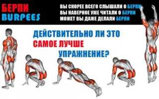50 берпи каждый день – в чем польза и каких результатов можно достичь