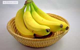 Бананы: польза, вред и калорийность